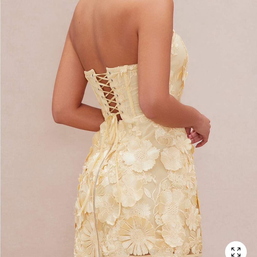 Fashion Nova Luxe Marcella Embroidered A-Line Mini Dress - Picture 2 of 4